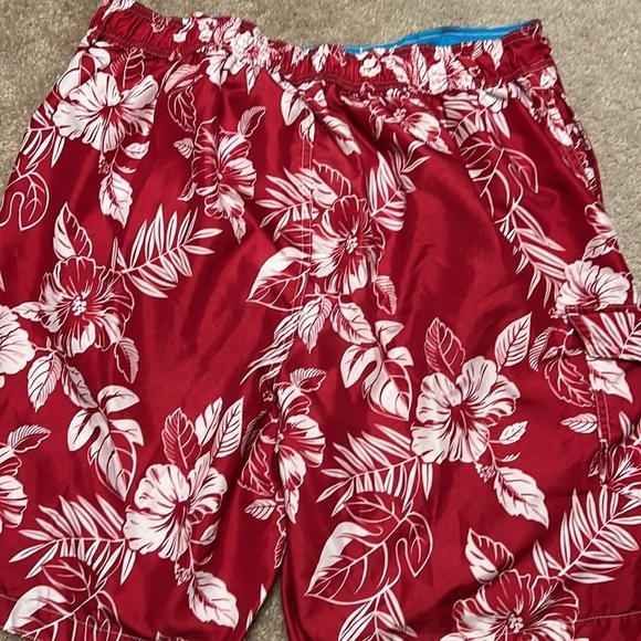 MENS Paradise Collection swimming trunks size Large - Picture 2 of 2